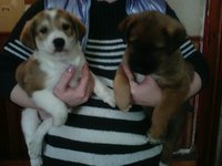 IMG00131.jpg