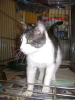 DSC07281.JPG