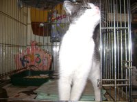 DSC07285.JPG