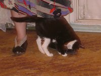 DSC07296.JPG
