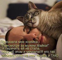 getImageCA4Z5ES1.jpg