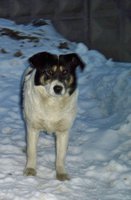 100_2875.JPG