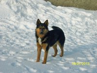 100_2865.JPG