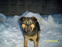 100_2873.JPG