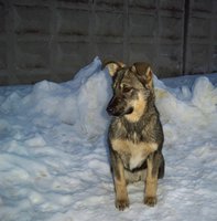 100_2877.JPG