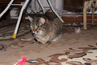 IMG_5666.jpg