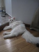 IMG_0573.JPG