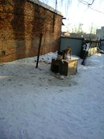 IMG00135.jpg