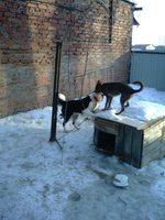 IMG00136.jpg