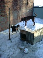 IMG00137.jpg