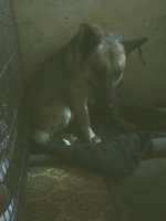 IMG00138.jpg