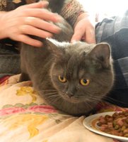 DSCN6770-2.jpg