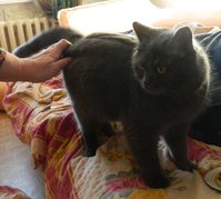 DSCN6775-2.jpg