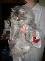 DSC07385.JPG