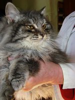 DSC07391.JPG