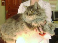 DSC07392.JPG