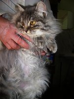 DSC07400.JPG