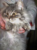 DSC07401.JPG