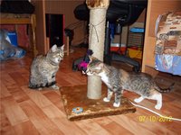 Тоша и Леся 169.jpg