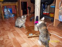 Тоша и Леся 171.jpg