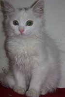 DSC00876.JPG