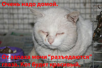 _44.jpg