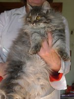 DSC07386.JPG