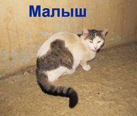 малыш.jpg