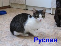 руслан.jpg