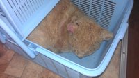 IMAG0603.jpg