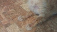 IMAG0608.jpg