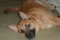 SAM_3434.JPG
