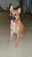 SAM_3439.JPG