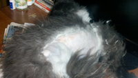 2013-03-16_14-57-26_624.jpg