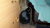 2013-03-17_19-19-34_435.jpg