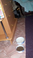 2013-03-17_19-20-50_682.jpg