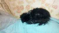 2013-03-18_06-29-56_571.jpg