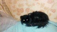 2013-03-18_06-30-04_468.jpg