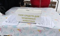 DSC04417.jpg