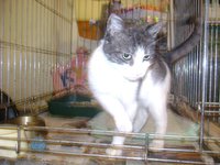 DSC07286.JPG