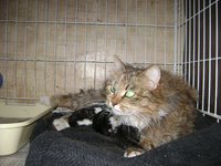 DSC07419.JPG