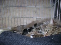 DSC07450.JPG