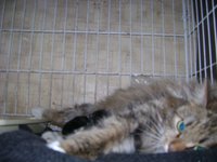 DSC07455.JPG