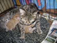 DSC07425.JPG