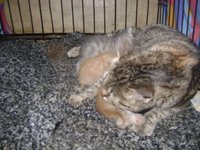 DSC07426.JPG