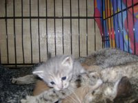 DSC07427.JPG