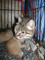 DSC07431.JPG