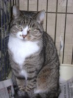 DSC07411.JPG