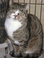 DSC07409.JPG
