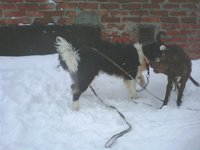 IMG00148.jpg